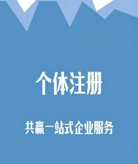 个体注册